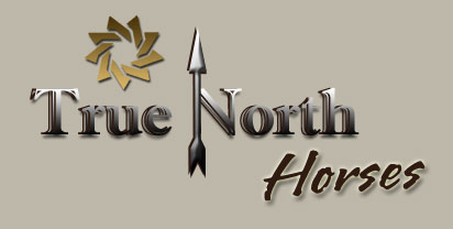 True North Horses